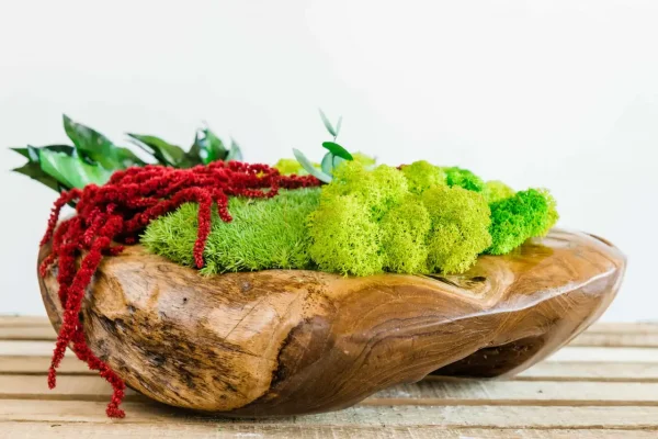 Wooden Bowl with Moss and Plants | Moss Decor
