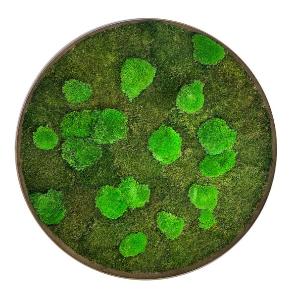 Nature's Green Haven: Moss Art Circle Painting