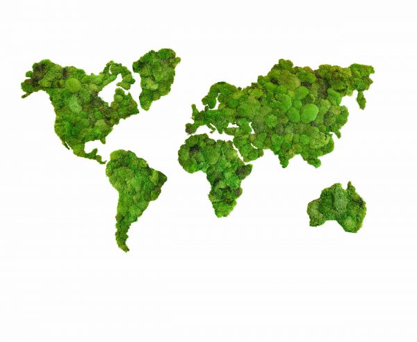 Moss Wall Art – World Map with Pole Moss