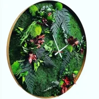 Wall Clock Jungle with Mix Moss and Plants