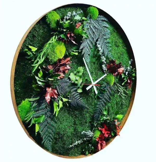 Wall Clock Jungle with Mix Moss and Plants