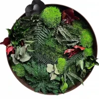 Wall Decor - Jungle. Circle Moss Painting with Plants