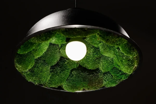 Hanging Lamp with Moss | Decorative Hanging Lights