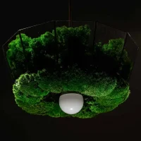 Hanging Lamp with Moss | Decorative Pendant Lighting