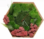 Wall Clock in Frame with Moss and Plants