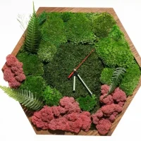 Wall Clock in Frame with Moss and Plants