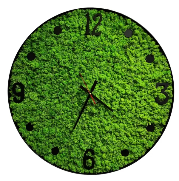 Decor Wall Clock - Moss Clock with Lichen Moss