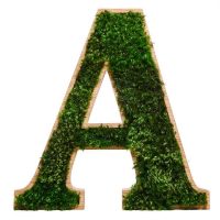 3D Moss Letter For Logo or Names with Mood Moss
