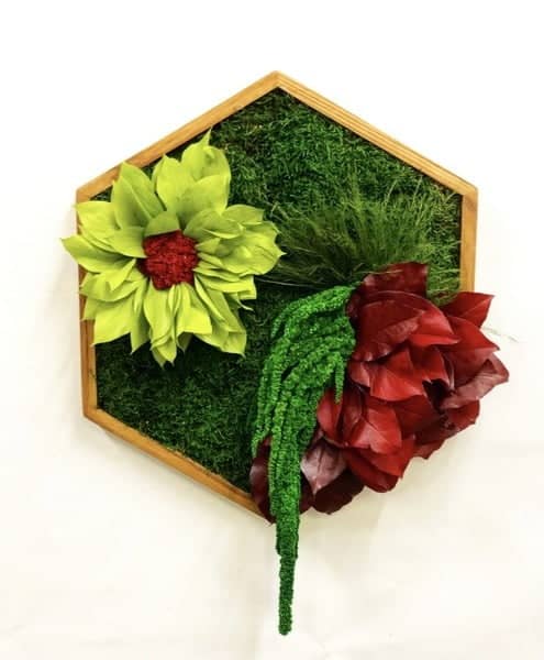 Moss Painting Hexagon with Plants and Flowers