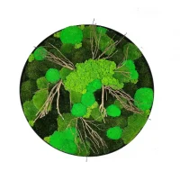 Round Moss Painting with Driftwood - Wall Decor