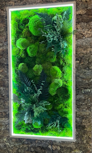 Decor Moss Painting with Plants and Lighting