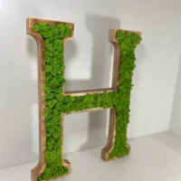 3D Moss Letter For Logo or Names with Lichen Moss