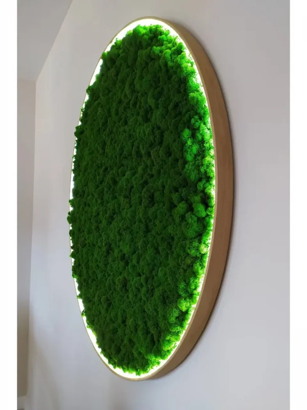 Circle Moss Painting with Lighting. Moss Wall