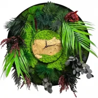 Wall Moss Clock with Plants in Frame