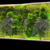 Moss Painting with Farn and LED Lighting