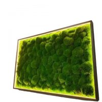 Moss Painting with Pole Moss and LED Lighting