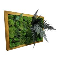 Moss Painting with Pole Moss and Plants