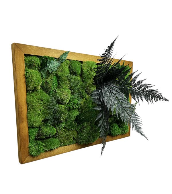 Moss Painting with Pole Moss and Plants