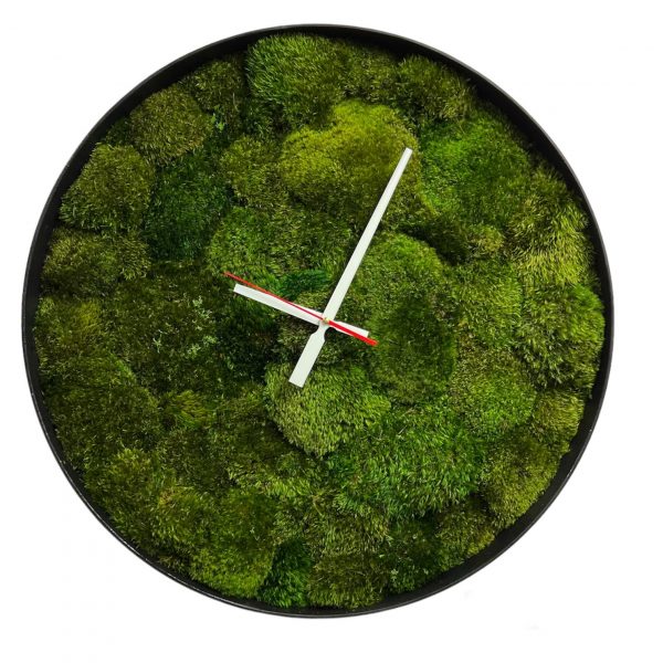 Round Moss Wall Clock with Mood Moss