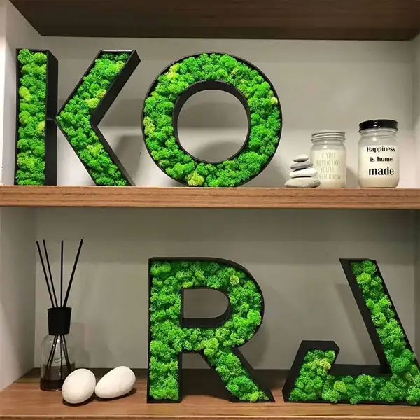 Custom Moss Logo & Lettering. Wood Letters with moss. 3D Logo