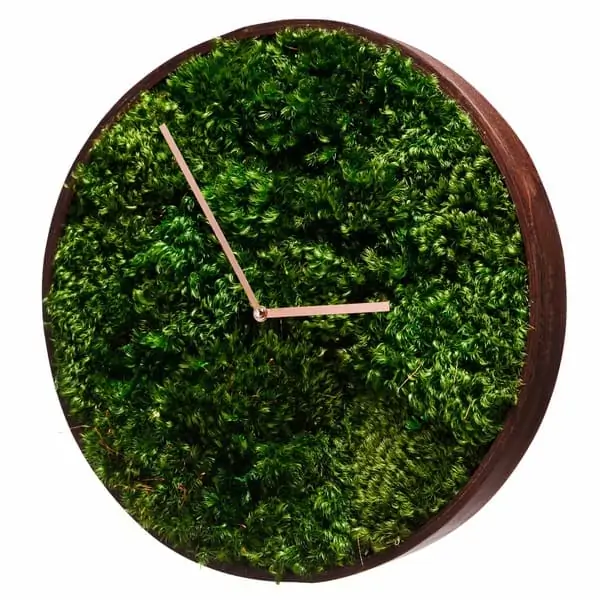 Round Moss Wall Clock with Mood Moss