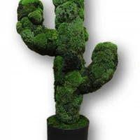 Decorative Cactus with Moss in a Pot, Cactus decor