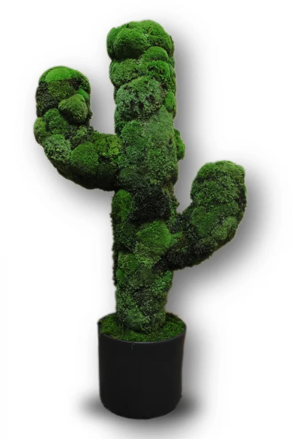 Decorative Cactus with Moss in a Pot, Cactus decor