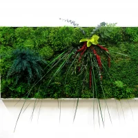 Decor Moss Painting with Plants