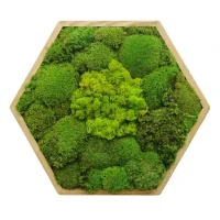 Moss Painting Hexagon with Pole moss and Lichen moss