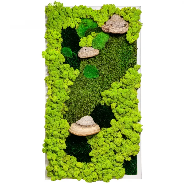 Decor Moss Painting with Moss and Tinder fungus