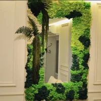 Moss Mirror with Lichen moss and Plants