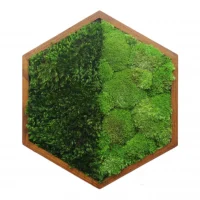 Moss Painting Hexagon with Pole moss and Mood moss