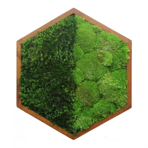 Moss Painting Hexagon with Pole moss and Mood moss
