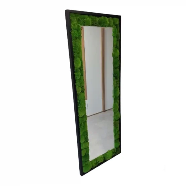 Moss Mirror in Frame with Moss