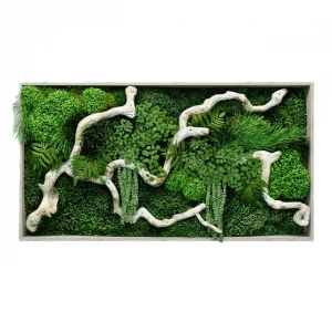 Decor Moss painting with Driftwood and Plants