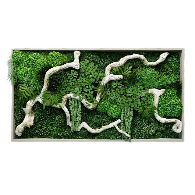 Decor Moss painting with Driftwood and Plants