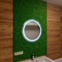 Round Mirror with LED Lighting | Moss mirror | Home Decor
