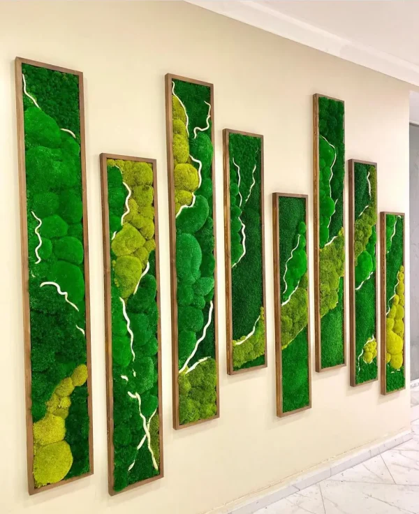 Set of Moss Art and Plants | Moss Frame