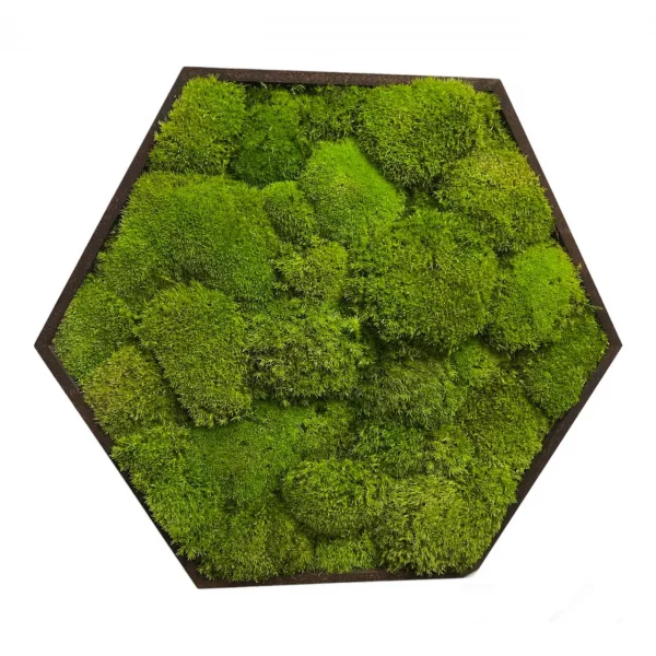 Moss Painting Hexagon with Pole Moss