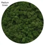 Medium Green