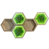 Illuminated hexagon wall shelf set featuring preserved moss inserts and open display compartments
