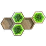 Moss Wall Art Sets: Illuminated Moss Hexagon and Wooden Wall Shelf