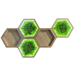 Moss Wall Art Sets: Illuminated Moss Hexagon and Wooden Wall Shelf