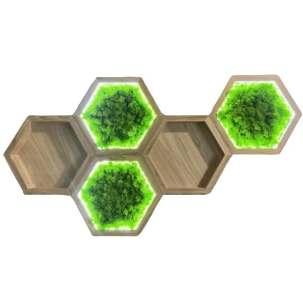 Illuminated hexagon wall shelf set featuring preserved moss inserts and open display compartments