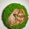 Round wall clock featuring a solid wood slice surrounded by preserved moss with analog hands