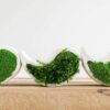 Three yin-yang shaped white concrete vases filled with green moss displayed in a row on a wooden surface.