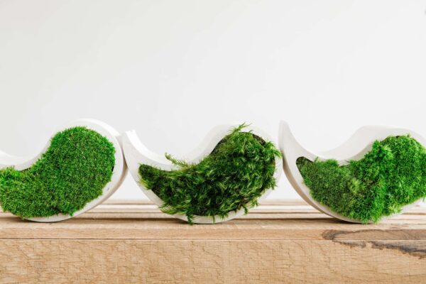 Yin Yang Concrete Vase with Provence and Spherical Moss - Image 7