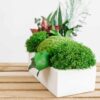 Rectangular white concrete planter with preserved green moss, ivy, and foliage set on a slatted wooden surface.