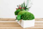 Concrete Vase with Preserved Reindeer Moss and Plants - Image 5