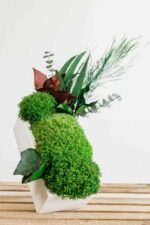 Concrete Vase with Preserved Reindeer Moss and Plants - Image 4
